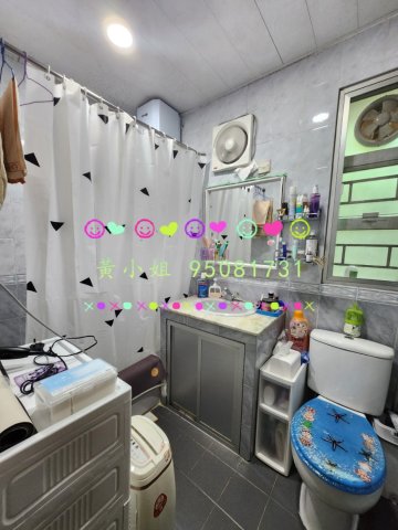 坑下莆  95081731