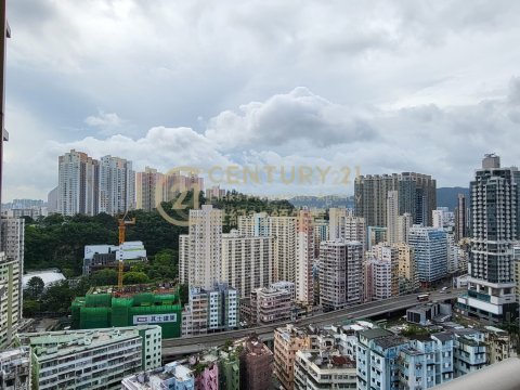環海東岸 第01C座
