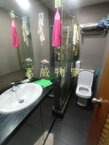 銅鑼灣新村 95080030