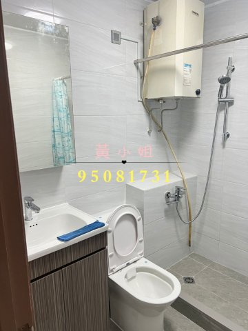 桐梓   95081731
