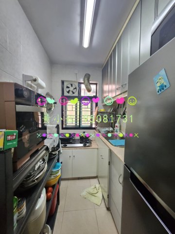 新屋家村   95081731