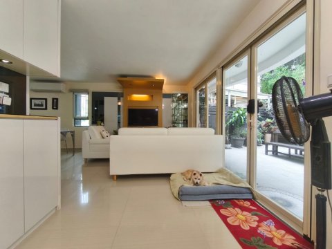 山頂花園 95080030