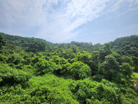 鳳園村