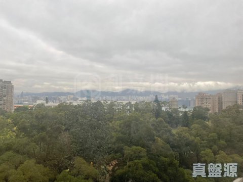 賽西湖大廈 北角半山 中層 1692208 售盤