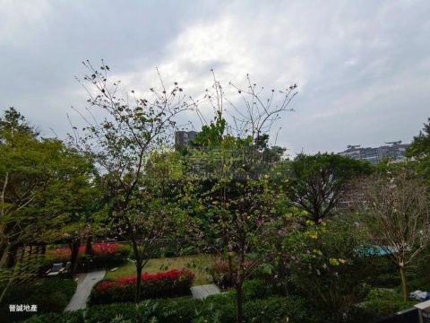 OMA 屯門 低層 A066087 售盤