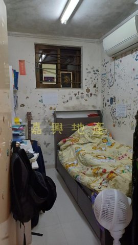 排頭村 95080030