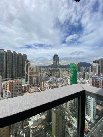 臻尚