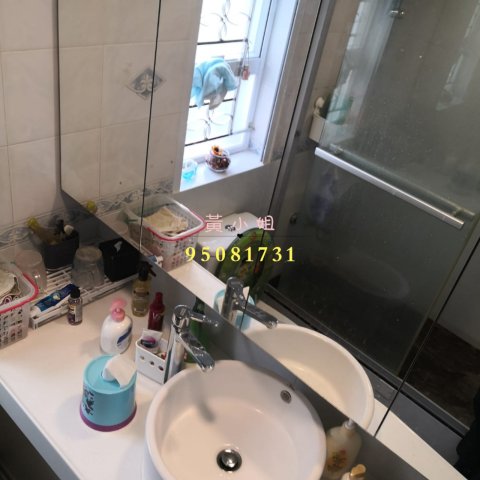 布心排 95081731