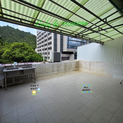 排頭村 @ EMILY 95080096