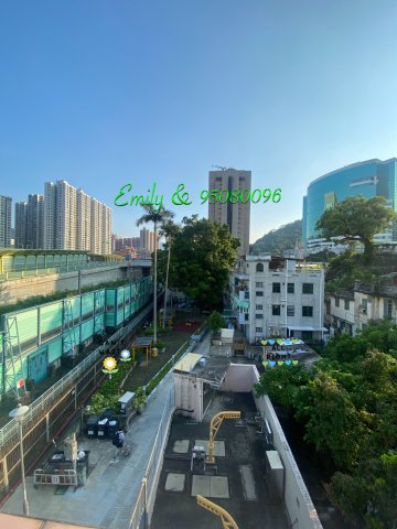 上禾輋村 @ EMILY 95080096
