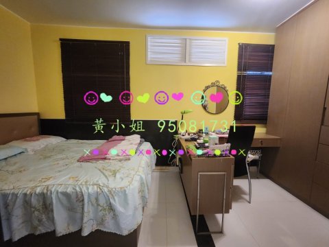布心排  95081731