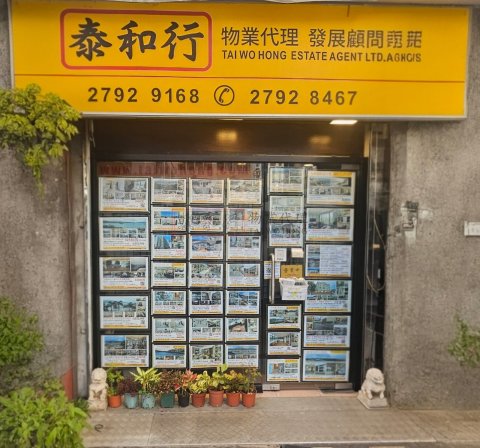 清水灣低密度住宅連天台