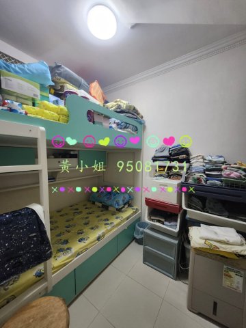 新屋家村   95081731