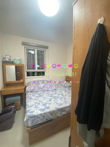 下黃宜坳   95081731