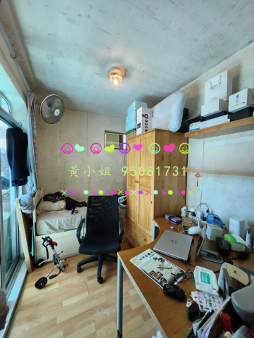 散頭角   95081731