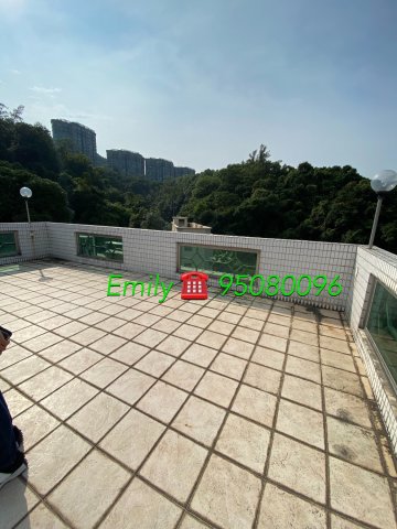 樟樹灘 @ EMILY 95080096