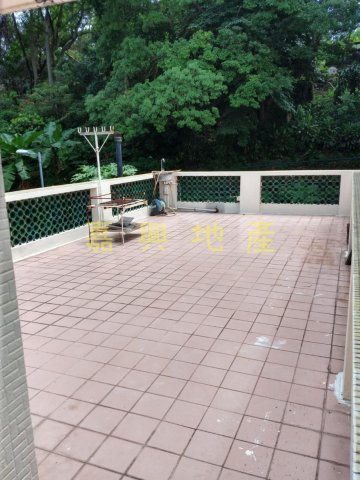 沙田圍村 95080030