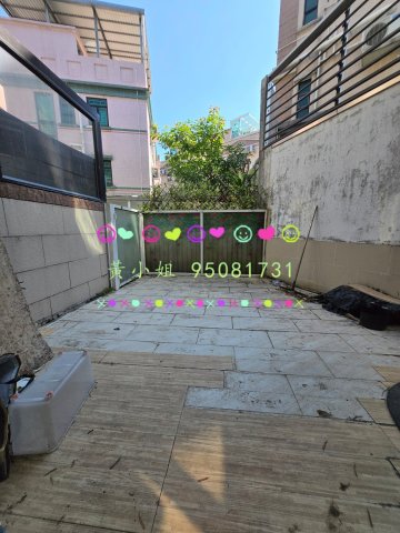 新屋家村  95081731
