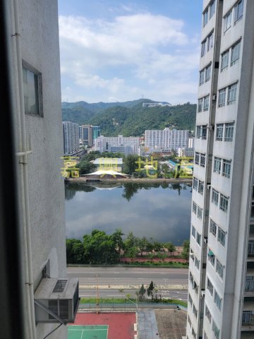 河畔花園