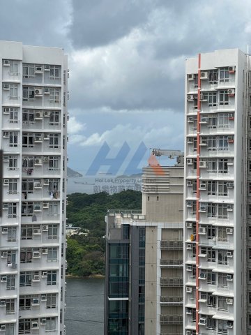 凱樂苑 B座 凱莎閣 凱樂苑 B座 凱莎閣