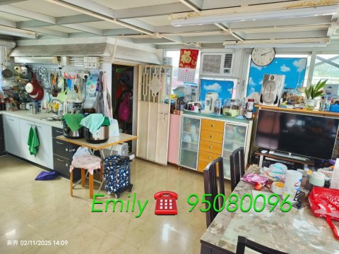 井頭村 @ EMILY 95080096