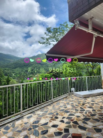 山顶花园  95081731