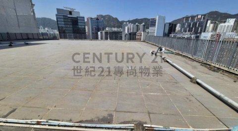 太子工业大厦 新蒲岗 低层 C206858 售盘