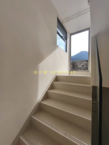 泥涌村 95080030