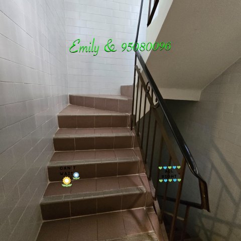 排頭村 @ EMILY 95080096