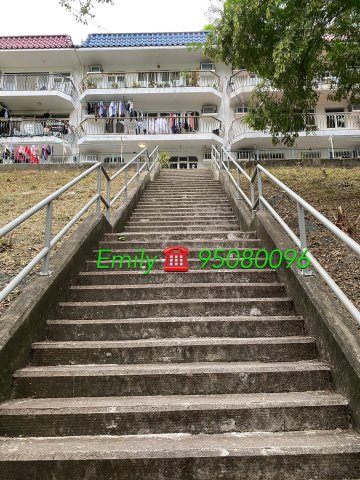 大圍新村 @ EMILY 95080096