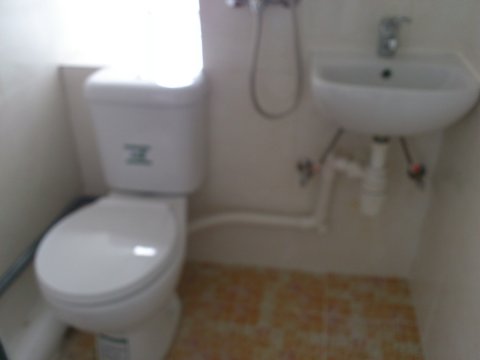 翠華花園 @ EMILY 95080096