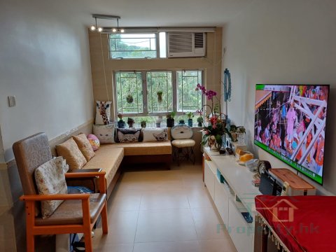 康林苑 沙田 中层 T001809 售盘