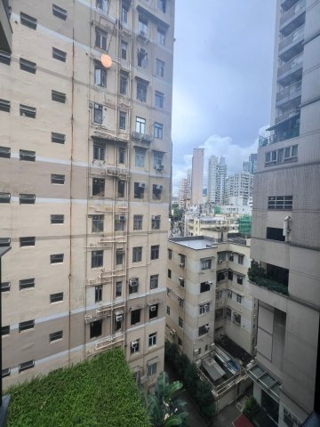 臻樺