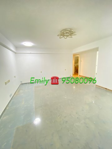 大圍新村 @ EMILY 95080096