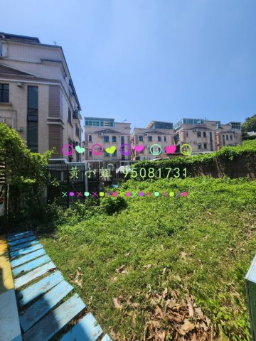 新屋家村  95081731