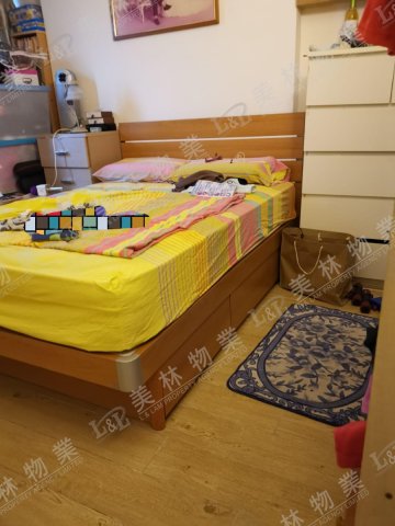llam.com.hk