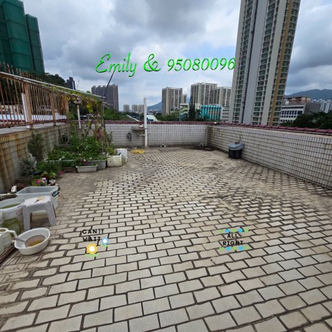 下禾輋村 @ EMILY 95080096