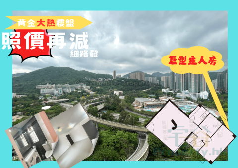 安宁花园 将军澳 高层 1701844 售盘
