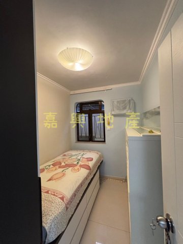 排頭村 95080030