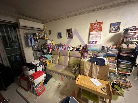 錦上路 元朗 中層 S019333 售盤