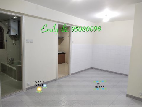 大圍新村 @ EMILY 95080096