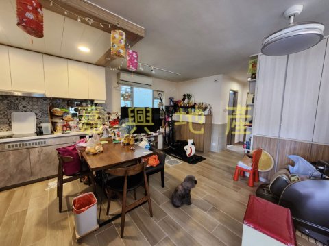 洞梓圍下村 95080030