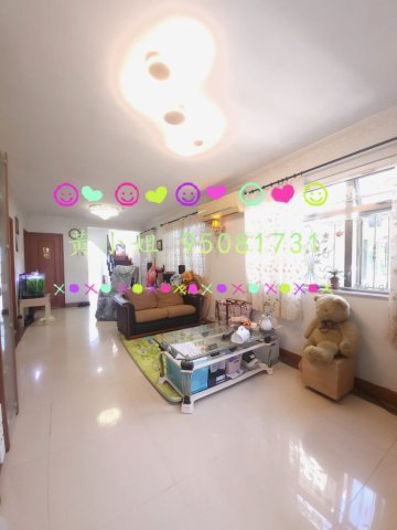 新屋家村 95081731