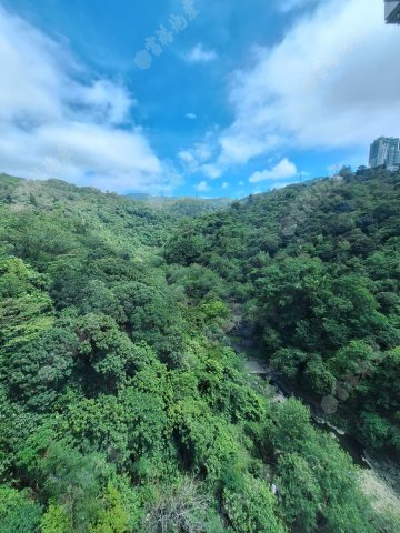 荃灣中心 荃灣中心