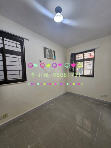 95081731