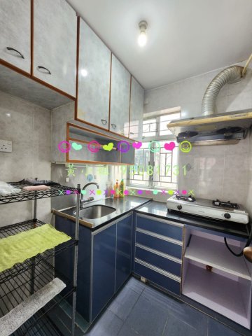 布心排   95081731