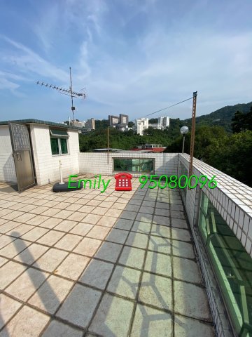 樟樹灘 @ EMILY 95080096