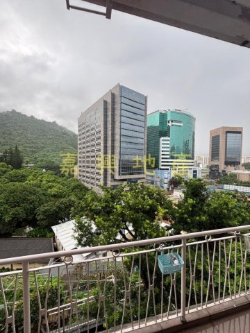 排頭村 95080030
