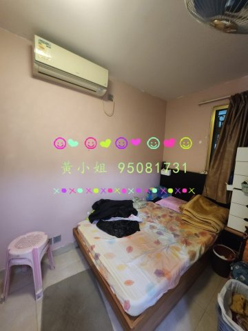 華樂豪庭   95081731