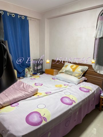 下禾輋村 @ EMILY 95080096